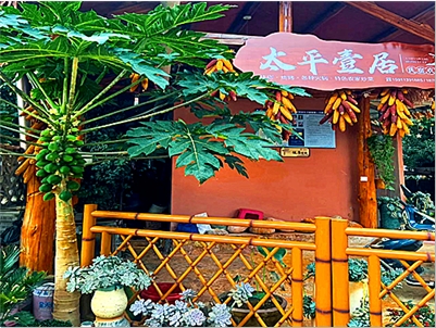 ����ʡ�t���ݏ���̫ƽҼ������