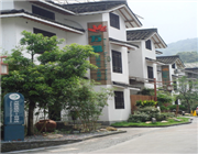 �����f�P�Ƶ�