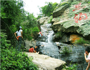 �����r�f�TƱ